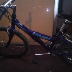 Trek 24“ Purple, 💜 blue, 21speed Mountain Bike 