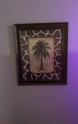 Framed Photo Of Palm Tree 