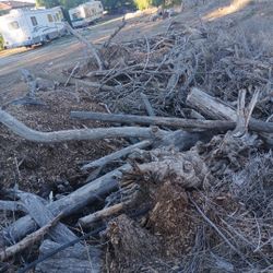 Free Free Free Wood In Hemet Near Soboba And Johnson 
