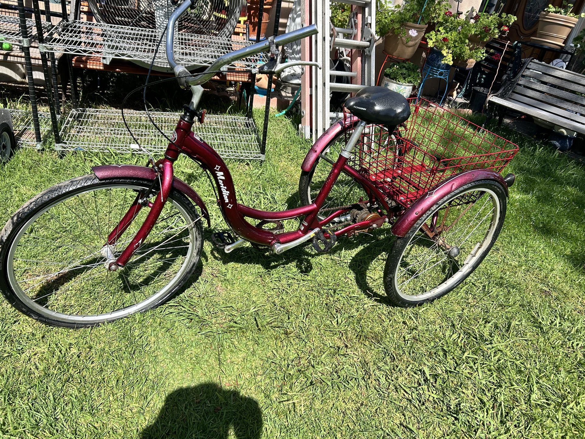 Tricycle Need New Tires