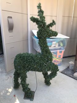 Christmas Reindeer with Lights