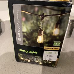 Portfolio landscape Outdoor LED String Lights 24ft long-15$ for Sale