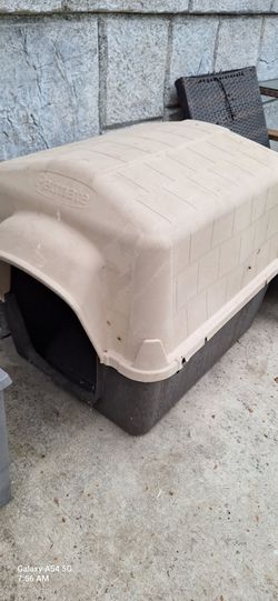 Large dog house