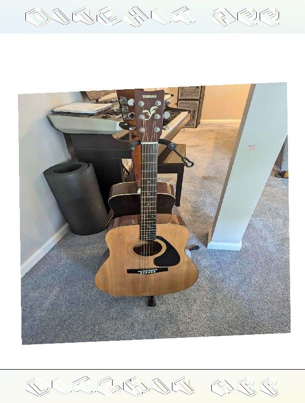 garden give Make Beautiful Music with Acoustic Electric Guitar Range