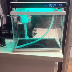 Uruq 2 gallon fish tank