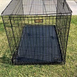 Dog Cage