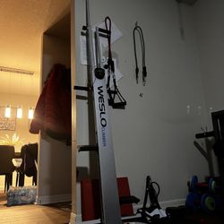 Weslo Climber