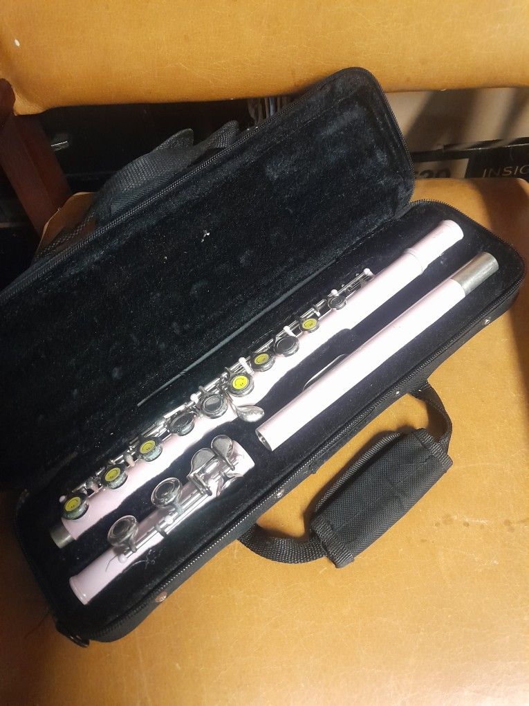 Mendenhall By Cecillio Pink Flute W Case