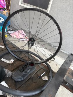 Street co back rin 29