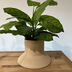 Ceramic Vase Plant Pot