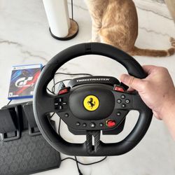 Grand Turismo And Thrustmaster. 
