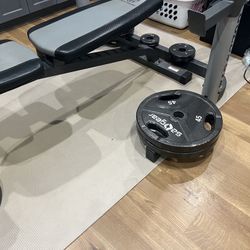 Weight Set, 45,35,25,10,10,5,2.5 Lbs With Bench