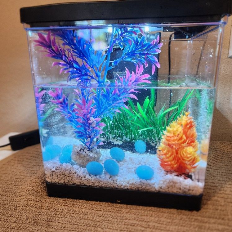 Small Fish Tank