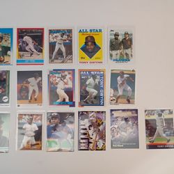 Tony Gwynn card lot 