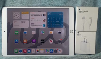 IPAD PRO 10.5 IN (256GB)