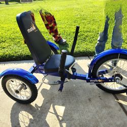 Bicicleta Tres Ruedas 
