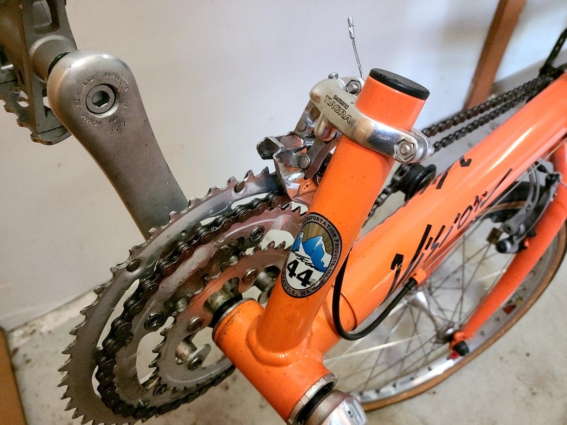 Recumbent Bike,
