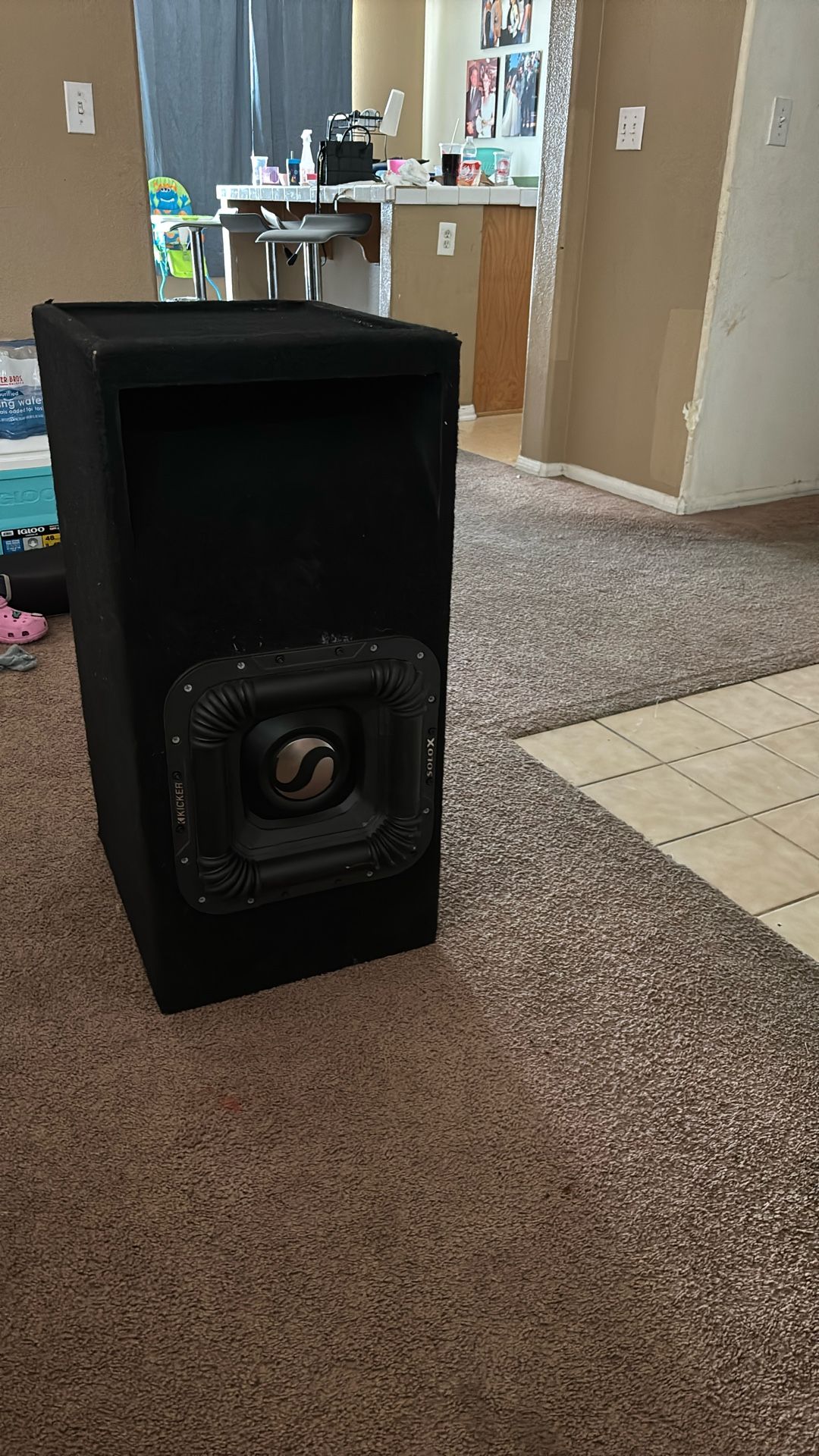 Solo X 12’ Subwoofer With Box
