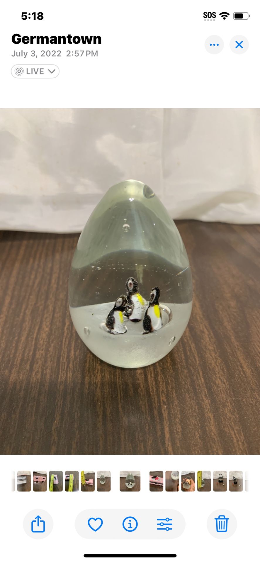Dynasty Gallery Penguins Arctic Egg Oval Glass Paperweight 3” Bird Alaska Ice
