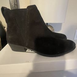 Booties - Steven Madden Black