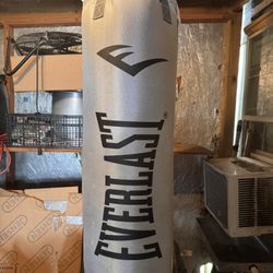 Everlast Heavy Bag