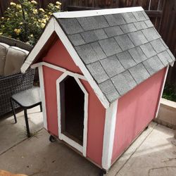 Dog House 