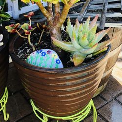 PLANT STANDS WITH POTTED PLANTERS