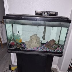 30 Gallon Fish TANK ONLY