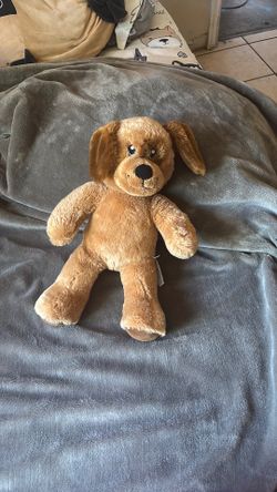 Build a bear dog