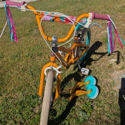 Schwinn Girls Bicycle