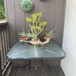 Patio Glass Table