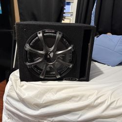 Speaker 