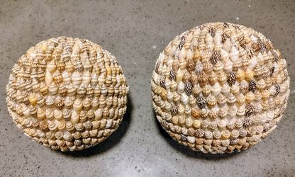 Two Seashell Decorative Spheres / Orbs (Matching Pair) - Coastal Decor