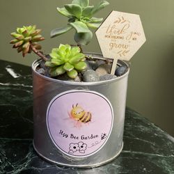 Succulent Plants And More Great Prices Mothers Day Gifts Easter, Summer,  Garden Time for Sale in Crystal City, CA - OfferUp