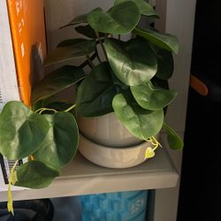 Artificial Plant 🪴 