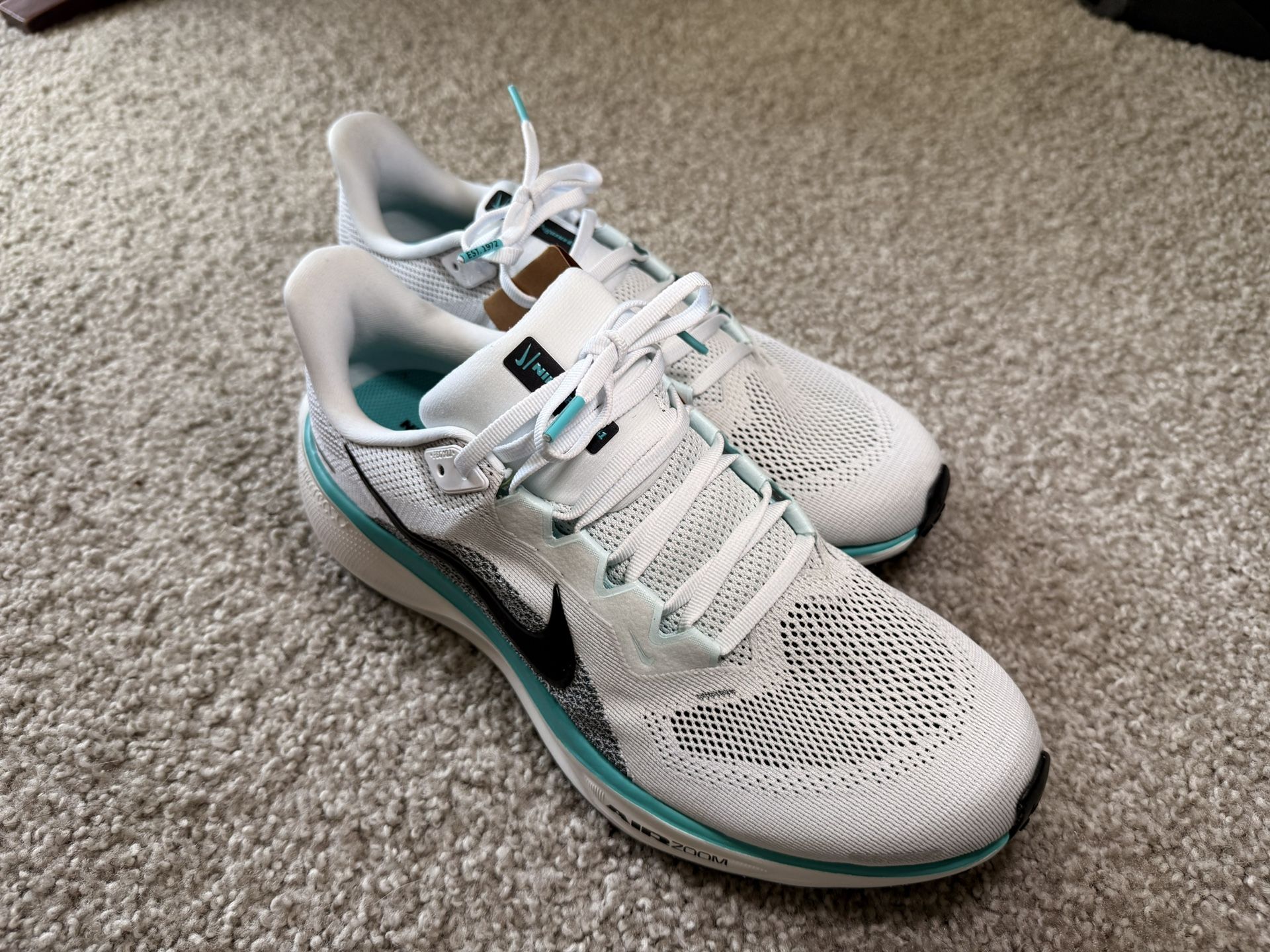 Nike Pegasus 41