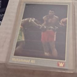 Boxing AW Set 1991 All World No Holograms.  Cash Porch Pickup Redmond 
