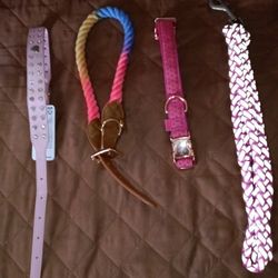 New Large Dog Collars & Leash