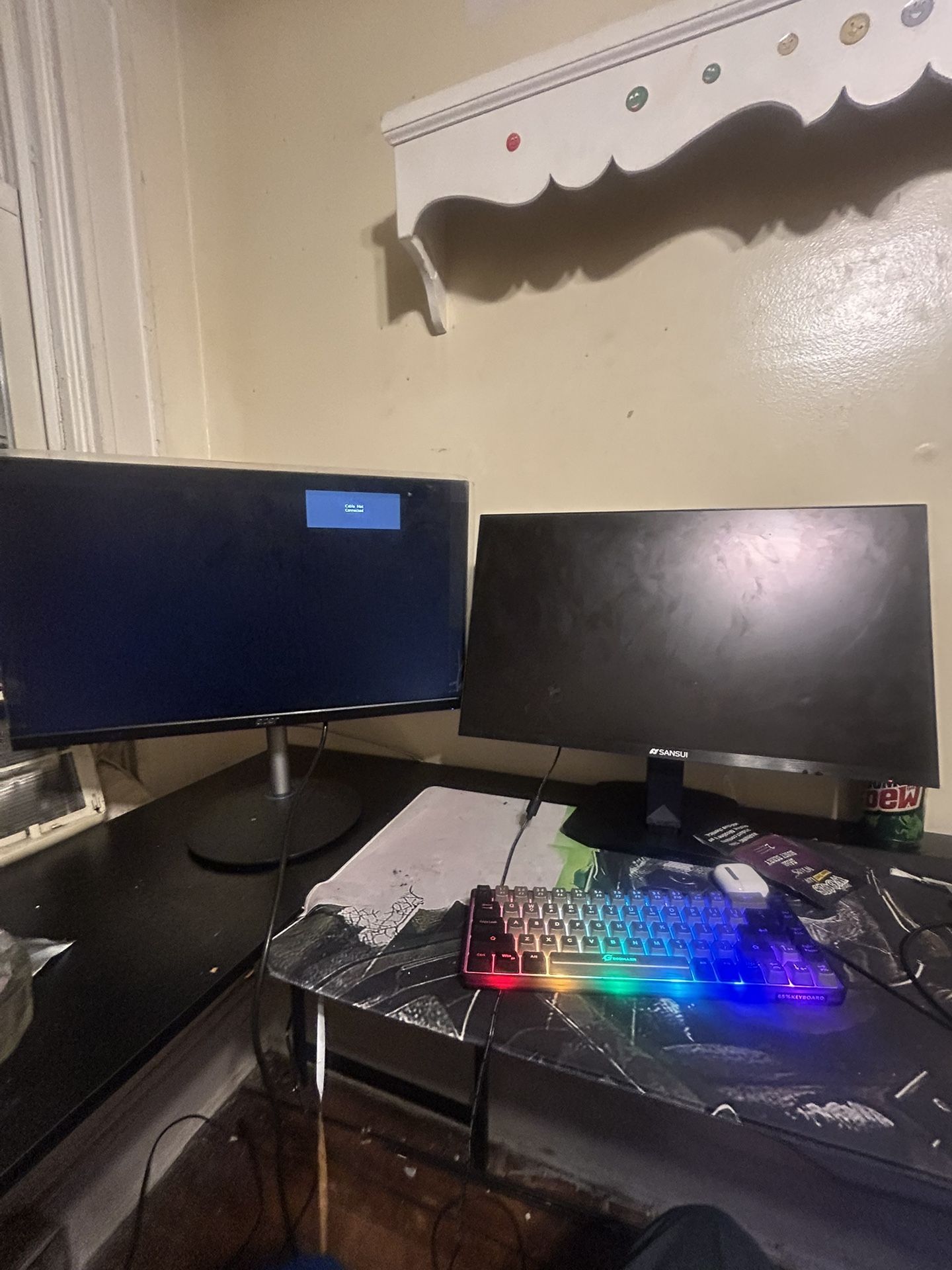 Computer Monitor 