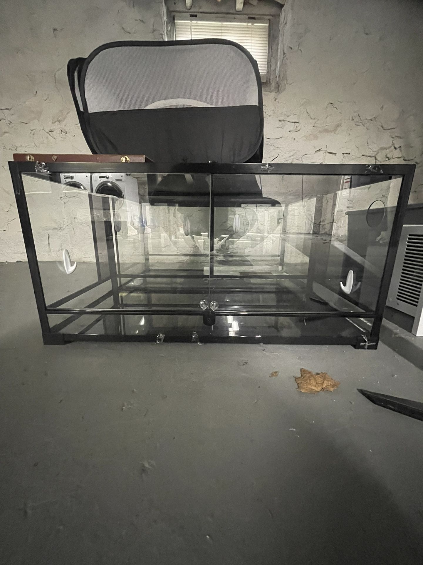 60gal Lizard Tank