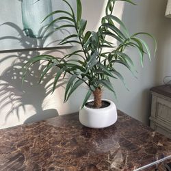 Fake Desk Plant