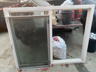 Window with screen