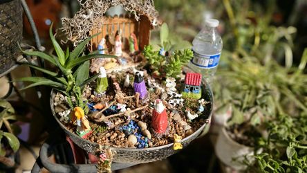 Nativity Scene With Natural Succulents 