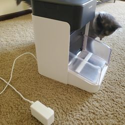 Automatic Cat Feeder