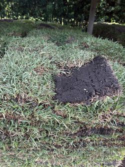 Sod Delivery