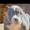 Bossman