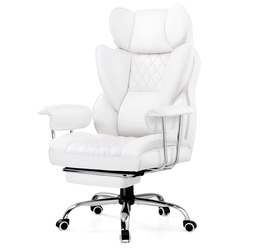 Gaming/Computer Chair