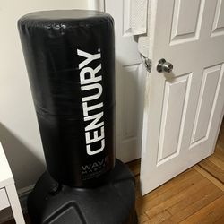 Punching Bag 