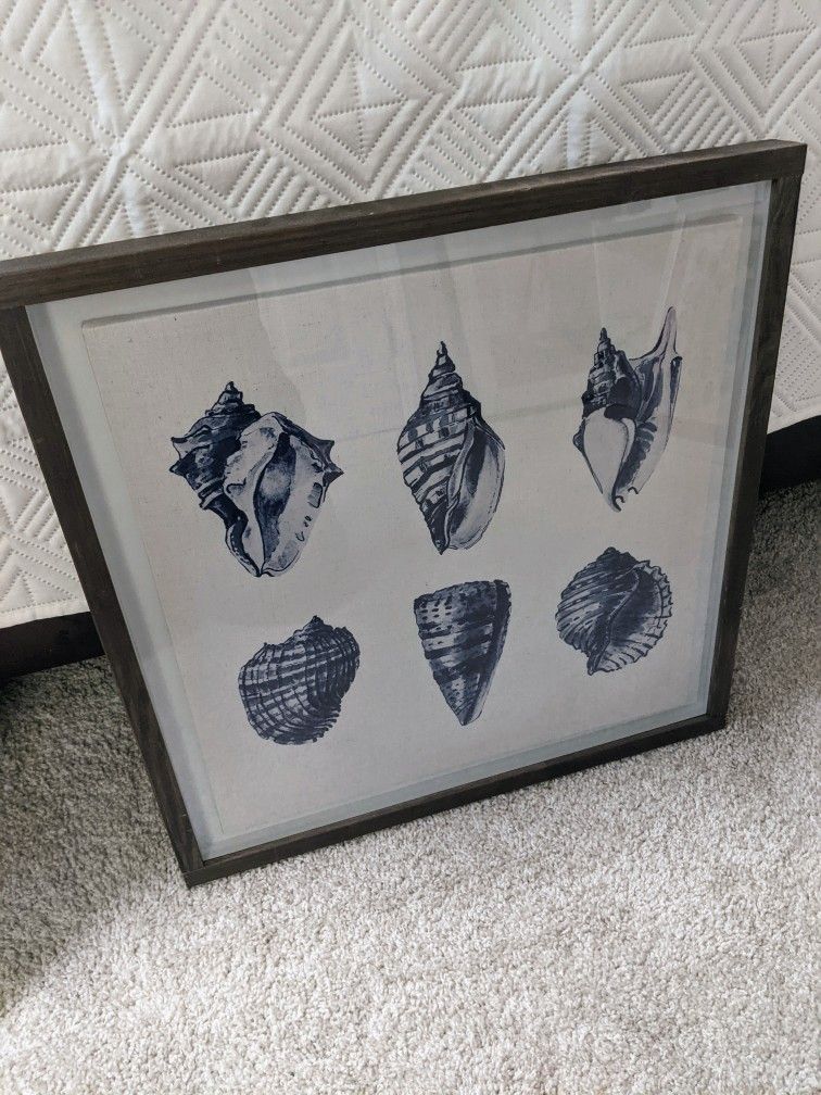 Ocean Sea Shell Framed Picture