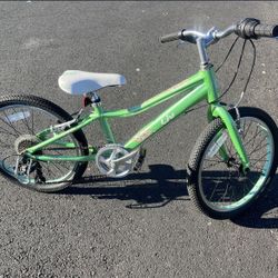 Liv youth bike light green 20 inch wheels gears